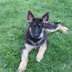 Meet your Posher, Deedy